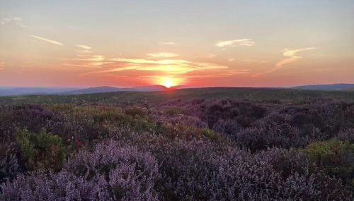 Cosy and quiet one bed barn conversion. - Photo 2