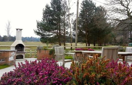 The Dorset Resort - Photo 142