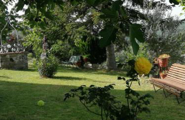 La Giuncaia - Photo 55