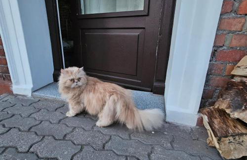 Magical places Unter den Linden - Foto 36