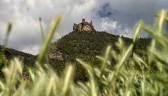 Casa El Pelaire - Foto 5