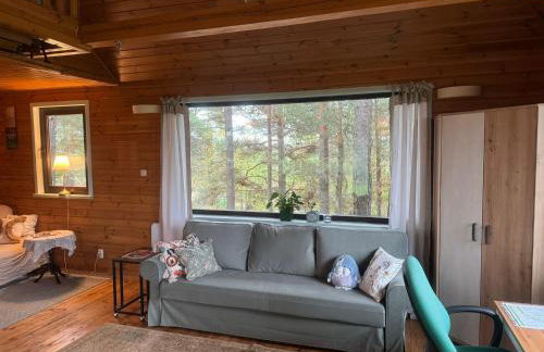 wietrznie-wichrowe wzgórze - Foto 45