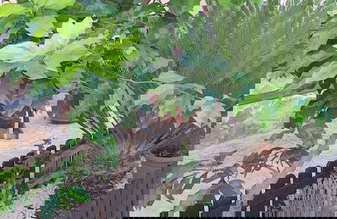 Masangy's Studio - Foto 76