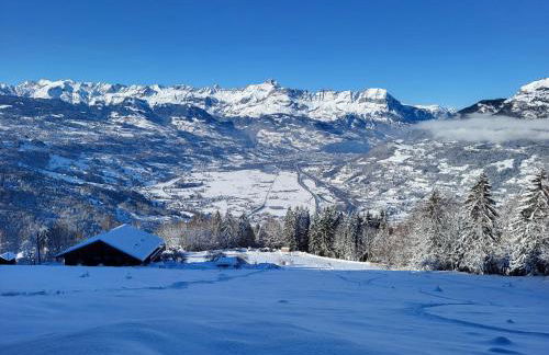 Chalet d'alpage avec vue incroyable - Foto 59