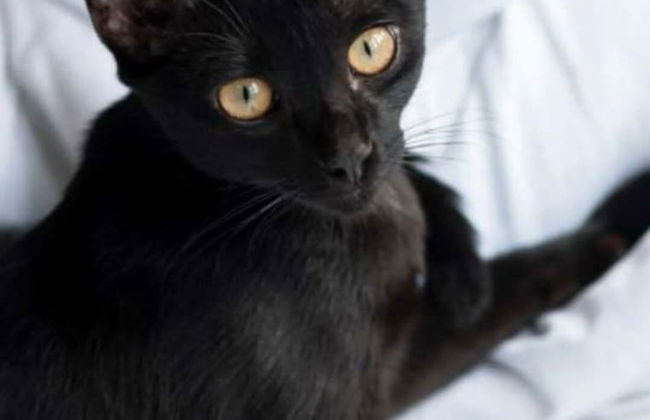 Atmosfera Hotel - Foto 29