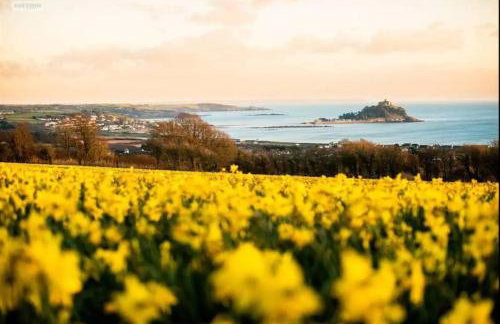 Spacious 1 Bedroom Apartment near Seafront - Photo 16