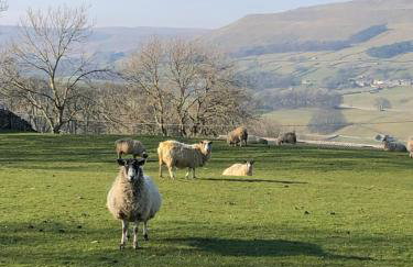 Quarry Cottage near Hawes, Yorkshire Dales, Pet free - Foto 1