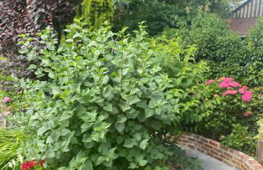 Gite au bord du Lac - Foto 13