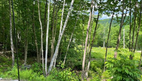 Hillside HideAway - Foto 4