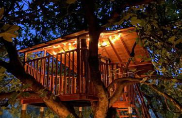 O-live Agriresort - Foto 24