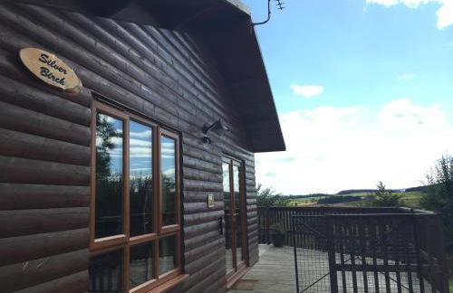 Silver Birch Lodge With Hot Tub Near Cupar, Fife - Foto 23