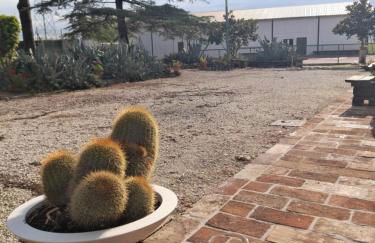 CASAL DE' PINI RELAIS TENNIS E PISCINA - Foto 61