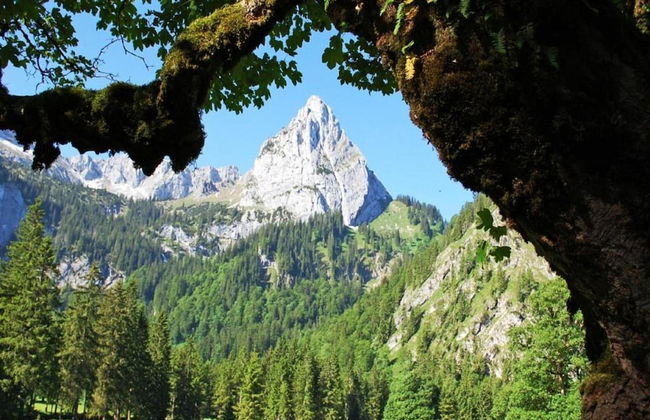 Aesthetic Apartment in Halblech Germany near Ski Area - Foto 31