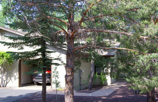 Quality Hill Resort - Foto 38