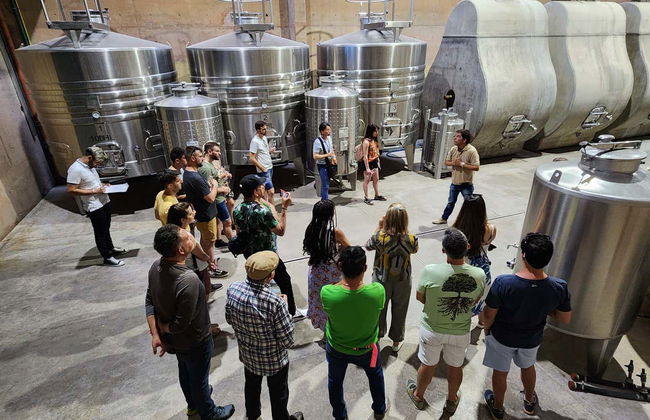 Tour do Malbec pela zona vitívinicola de Luján de Cuyo - Foto 10