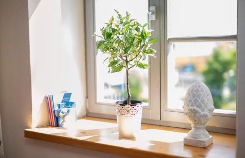 2 on the Estate - Mosch - Photo 82