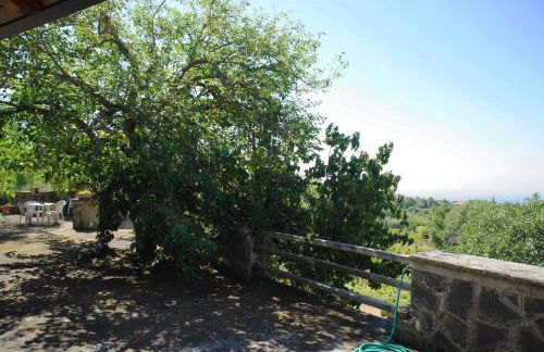 Etna Paradise locazioni brevi - Foto 28