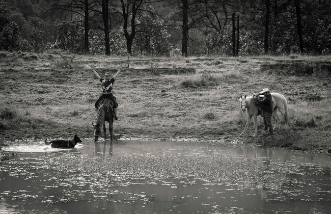 Rancho con Caballos El Reencuentro - Foto 37
