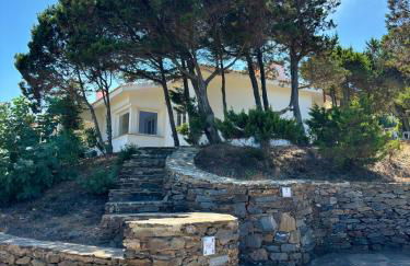 Villa Haass - Foto 47