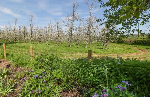 Harvest Moon Cottage - Photo 16