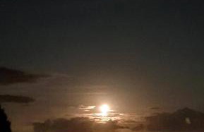 Cromla Cottage - Photo 28