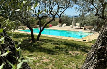 Uliveto Benedetti - Foto 1