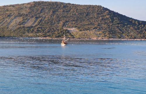 Apartmani Petra - Photo 39