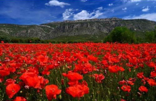 Dúplex Sant Martí - Foto 12