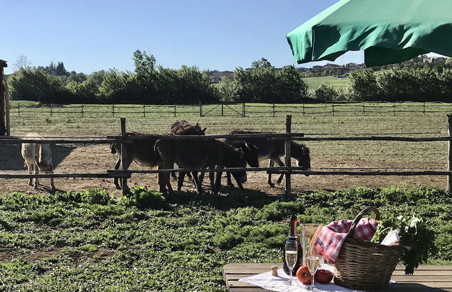 La Locanda Paradiso - Foto 40