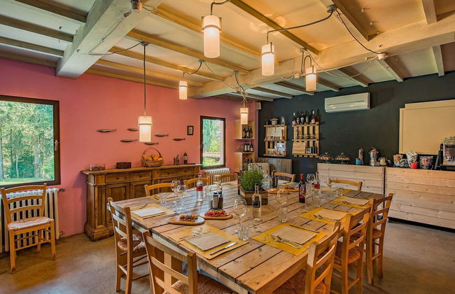 Holiday Home in Chianti With Pool & Sauna - Foto 15