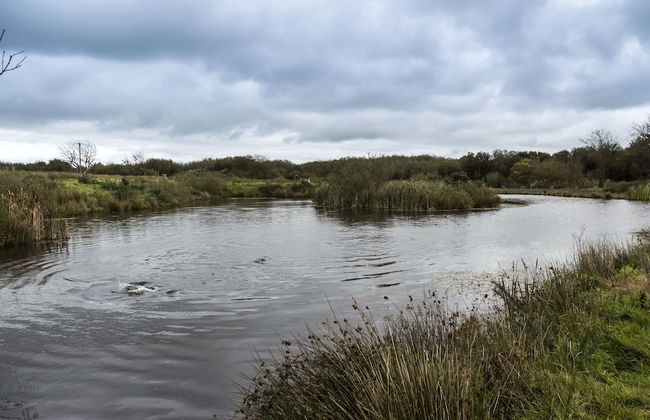 Lavender - Luxurious Barn Conversion - Foto 63