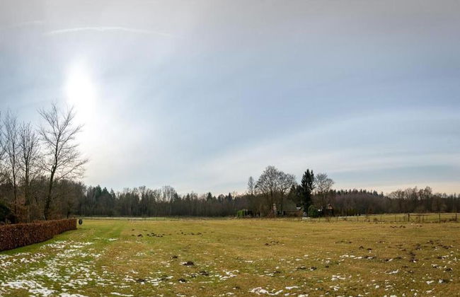 Private Chalet in the Woods - Photo 30