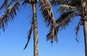 Ste. Tatuí 01 - Passagem · Tatui Locações – Suíte na Passagem Cabo Frio - Foto 28