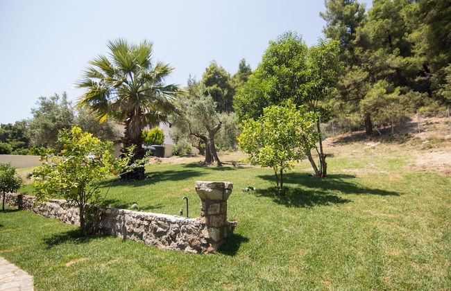 Casa Luxury Suites - Foto 44