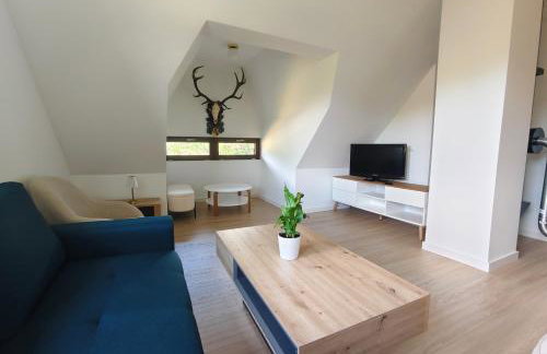 Willa Rogaś II - Foto 1