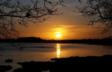 River View - Stunning estuary views - Foto 14