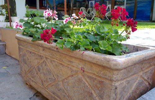 Hotel Alexandra - Foto 10