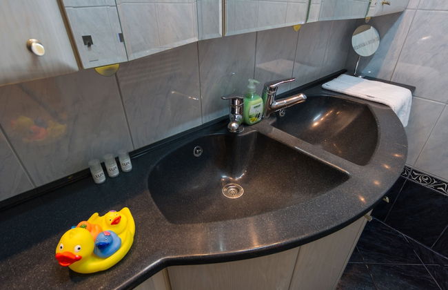 Vienna Apartment Center - Zentrum II - Foto 13