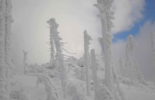 Gästehaus Schmalzreich - Foto 28
