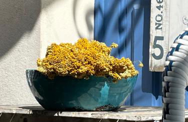 Les galets bleus de Calvi - Foto 56