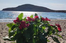 Tramonto Nel Delfini - Foto 1