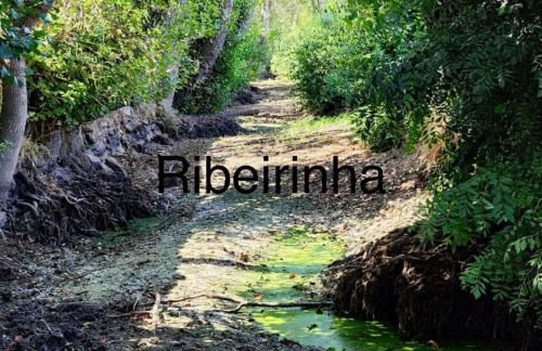 Arca dos Animais - Farming & SPA - Foto 57