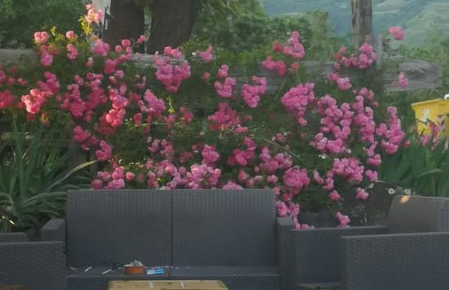 la debbia ranch - Foto 65