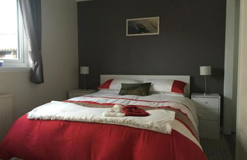 Unique Garden Centre Country Cottage - Foto 11