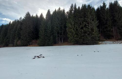 Casa Roby - Marilleva 1400 in Val di Sole - Photo 28
