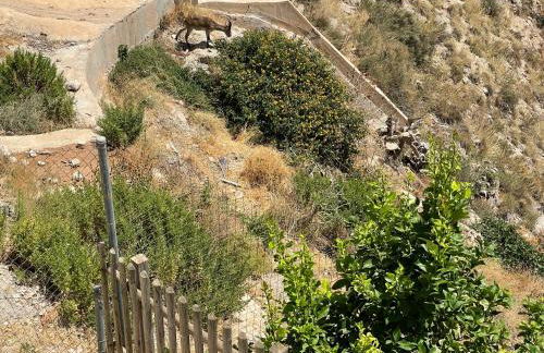 Apartamentos Axarquia , Frigiliana, terraza privada con vistas a la montaña rio y al mar - Photo 9