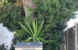 Torre dell'Orso centro - villino vista mare con ampio giardino - Foto 35