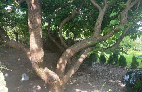 Uroczy dom i bezpłatny parking - Foto 22