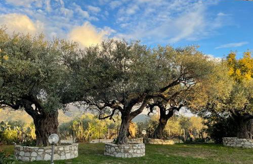 Villa "Il Giardino di Rocco" - Foto 23