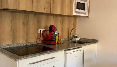 Apartamentos O Grove Awa Bay - Foto 4, stove